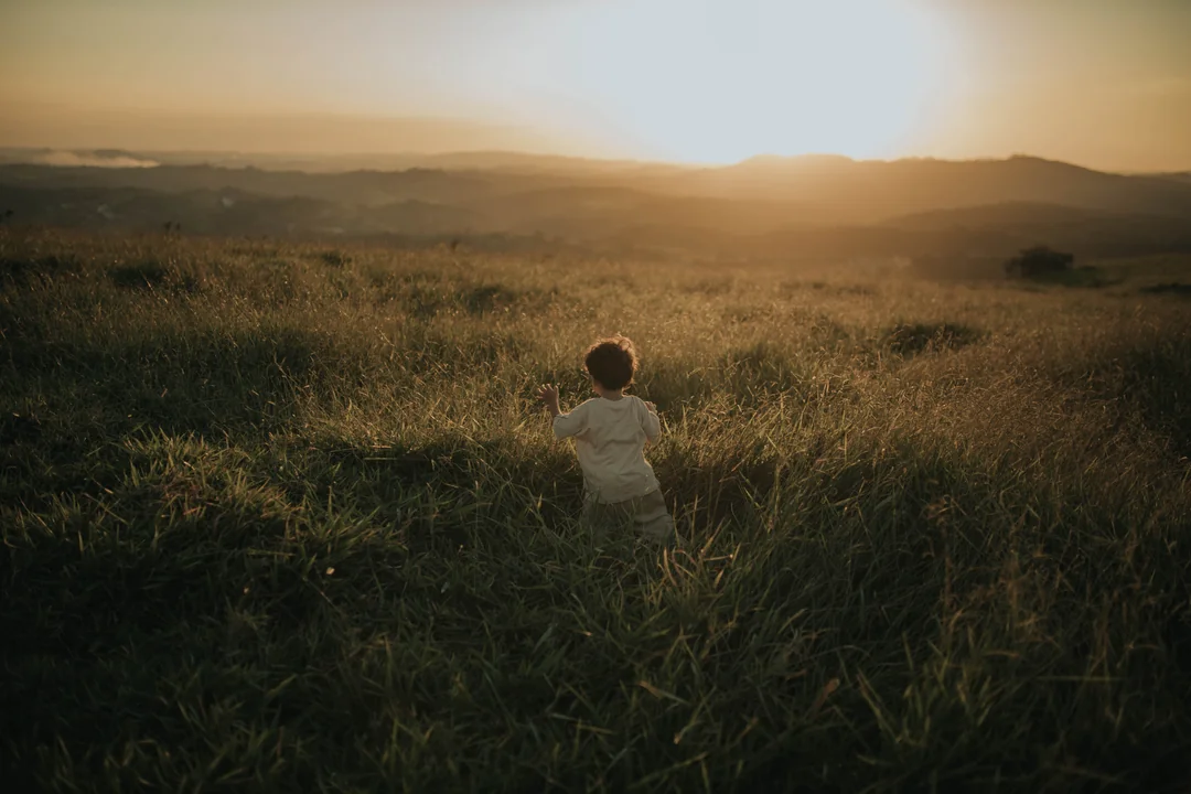 Criança no campo dourado ao pôr do sol